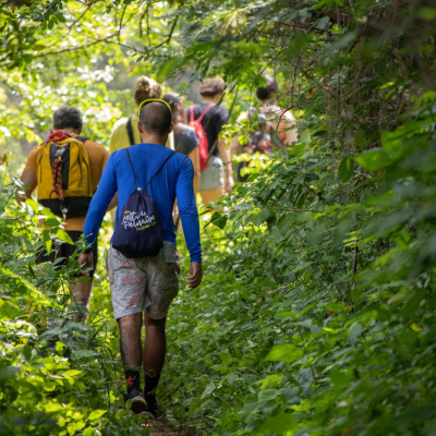 people walking in the forest