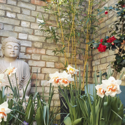 Buddha in the courtyard 2